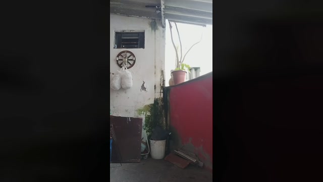 FelipeMathias  29-06-2022